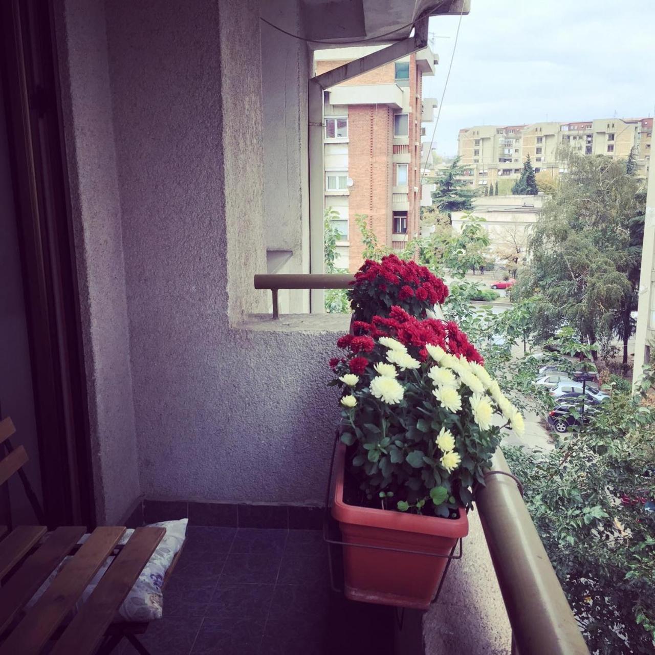 3 Bedroom Home With Parking Garage In The Heart Of Skopje Extérieur photo